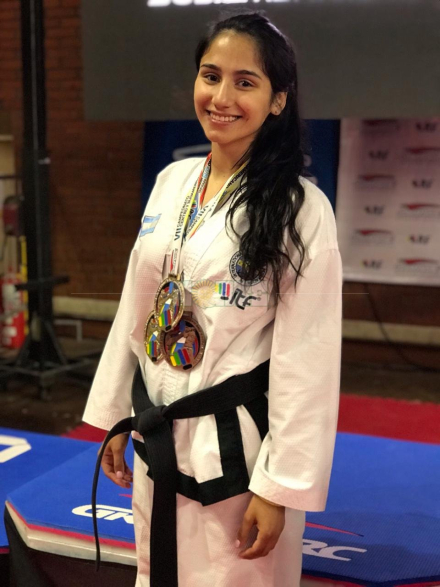 MILI SIN BANDERA.JPG