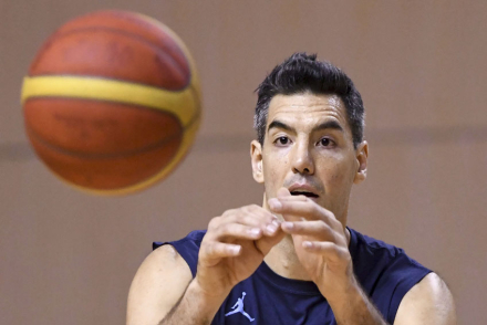 scola.jpg