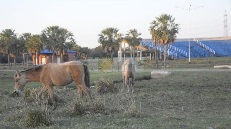 El Parque Caraguatá, la inversión del millón de dólares desaprovechado y en el abandono