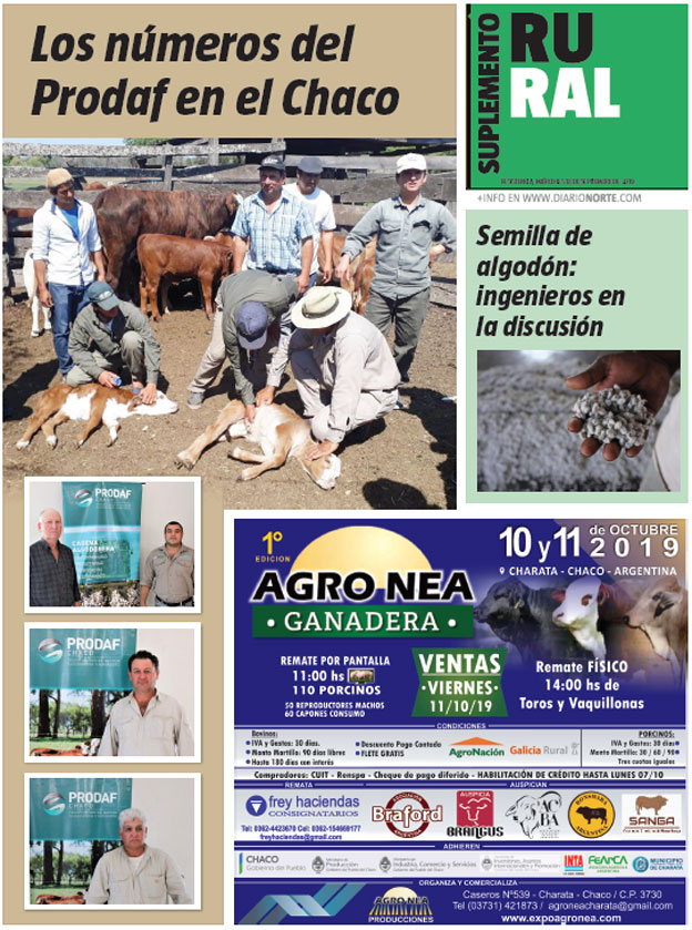 Los números del Prodaf en el Chaco