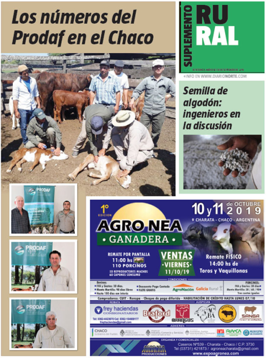 Los números del Prodaf en el Chaco