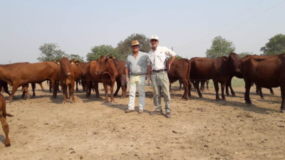 Agronea Ganadera clave para potenciar el negocio en la región