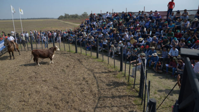 Charata, escenario de la primera edición de Agronea Ganadera