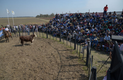 Charata, escenario de la primera edición de Agronea Ganadera