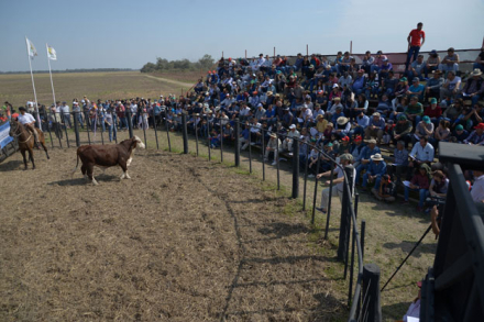 58AGRONEA-GANADERA-PREVIA.jpg