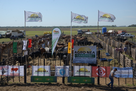corral 1.jpg