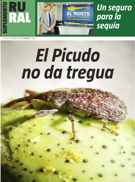 El Picudo no da tregua