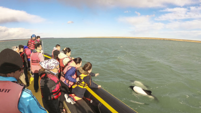 En un marco de naturaleza incomparable, llegan dos cruceros a Puerto Deseado