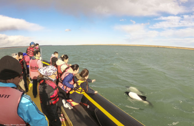 En un marco de naturaleza incomparable, llegan dos cruceros a Puerto Deseado