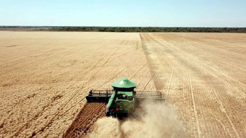 El Chaco cierra una buena campaña de trigo