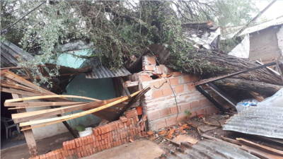 Resistencia: un árbol cayó sobre una casa en medio de la tormenta