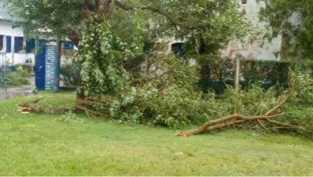 Colonia Baranda 3.JPG
