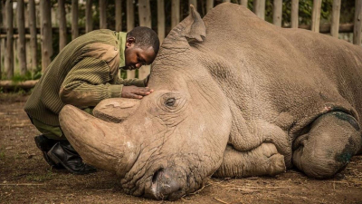 La historia detrás de la foto de la década de National Geographic