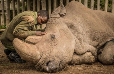 La historia detrás de la foto de la década de National Geographic