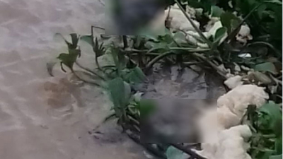 Hallan un cuerpo flotando en el Paraná