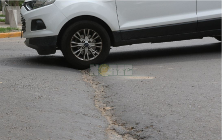bache 2.JPG