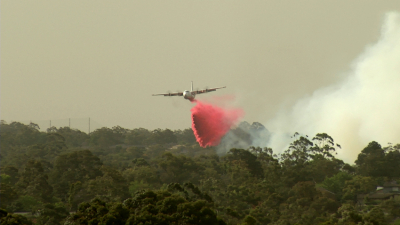 Se estrelló un avión que combatía los incendios en Australia: hay tres muertos