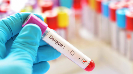 dengue2.jpg