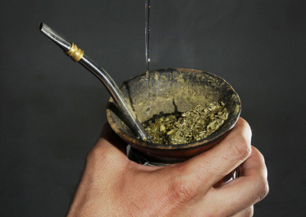 mate.jpg