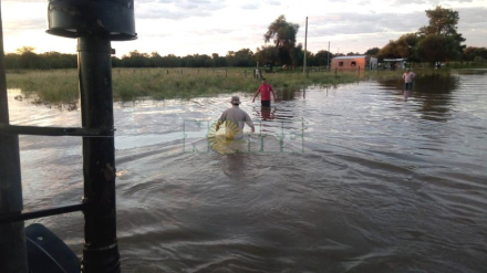 emergencia.jpg