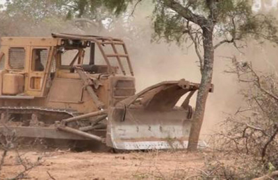 Ordenan recalcular una multa de 17 millones por un desmonte ilegal