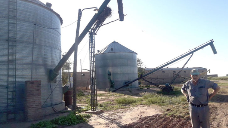 Como hacer rentable un sistema de producción mixta en pequeña escala