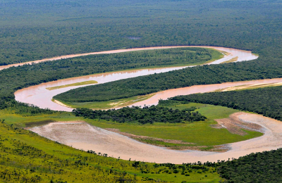 La provincia necesita 250 millones de dólares para preservar El Impenetrable