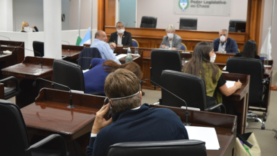 Coronavirus: Legislativa chaqueña dará prioridad a las iniciativas que requieran resolución inmediata