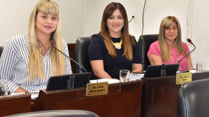 La diputada Ayala impulsa reforma parcial del Código Procesal Civil y Comercial
