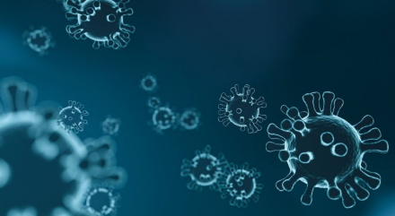 coronavirus_sector_agua_1.jpg