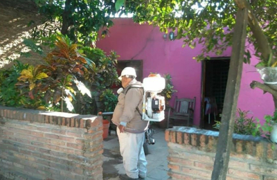 El otro frente de batalla: confirman 500 casos de dengue en una semana