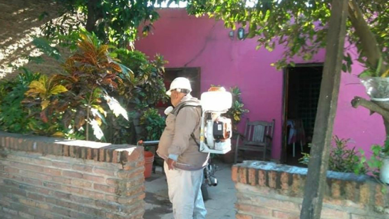 El otro frente de batalla: confirman 500 casos de dengue en una semana