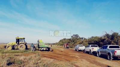 Trigo: El Chaco quiere superar las 100.000 hectáreas