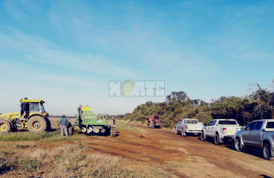Trigo: El Chaco quiere superar las 100.000 hectáreas