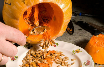 Cómo obtener semillas para la huerta casera