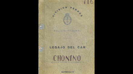 Chonino 1.jpg