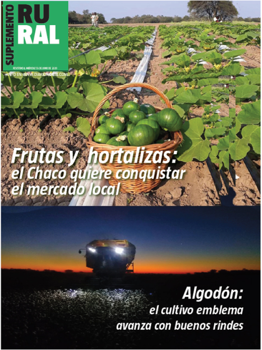 Frutas y hortalizas: el Chaco quiere conquistar el mercado local