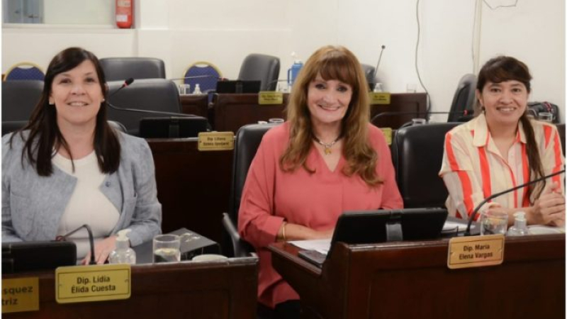 #NiUnaMenos cumple 5 años y la Legislatura chaqueña expuso los avances en la temática