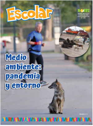 Medio ambiente: pandemia y entorno