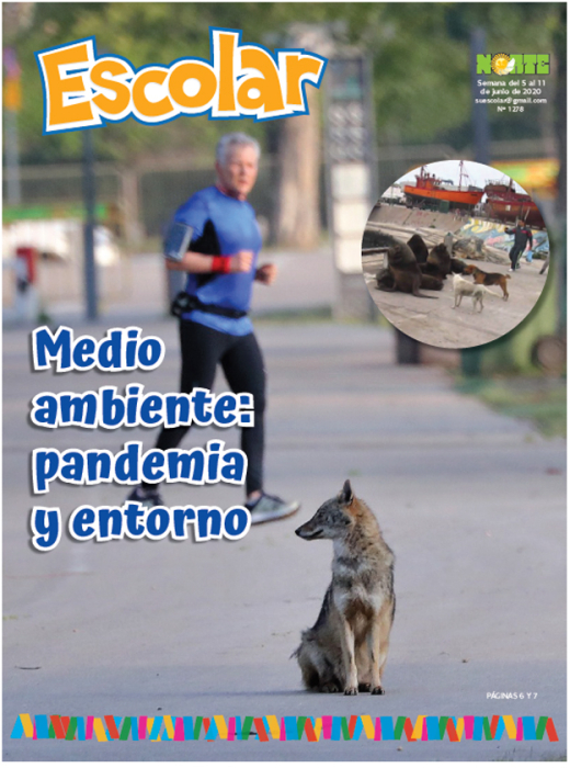 Medio ambiente: pandemia y entorno