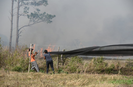 incendio7.jpg