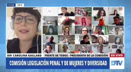 Diputados videoconferencia.jfif