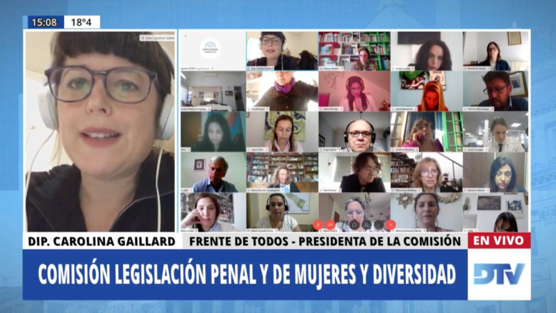 Diputados analizó proyectos sobre justicia penal y género con especialistas