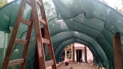 Charata comienza a trabajar para recuperar su arbolado urbano tras las inundaciones
