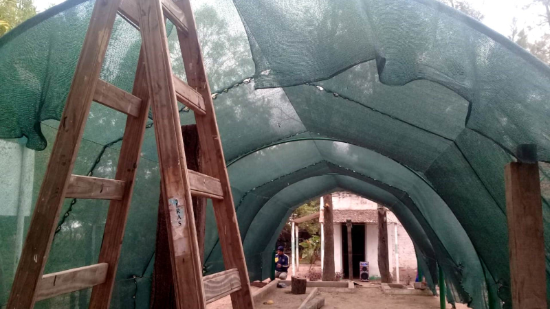 Charata comienza a trabajar para recuperar su arbolado urbano tras las inundaciones