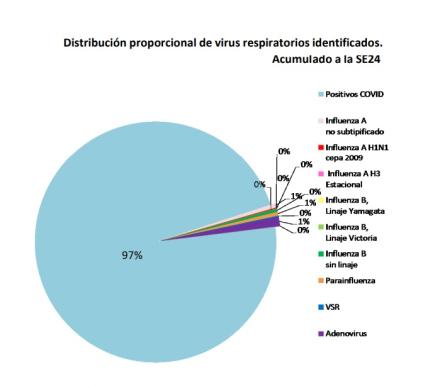 grafico.jpg
