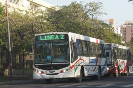 colectivos.jpg