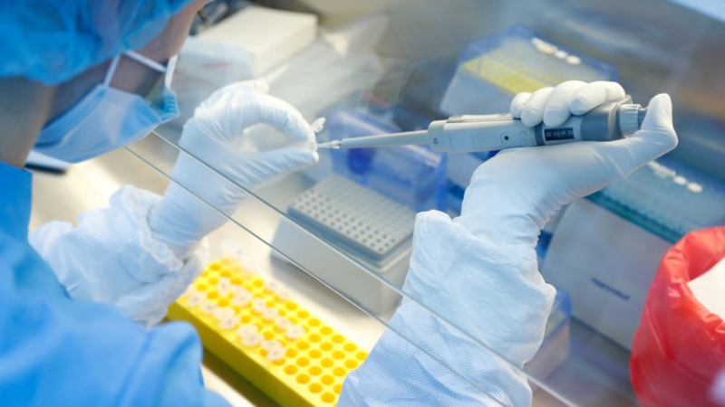 Confirmaron 384 muertes y 16.337 nuevos contagios en las últimas 24 horas