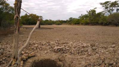 Se agrava la sequía en la provincia y se estiman pérdidas en la producción agropecuaria