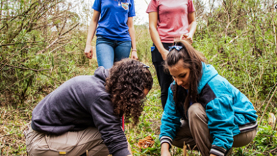 Vida Silvestre invita a adolescentes a tener “Un día verde” desde sus casas